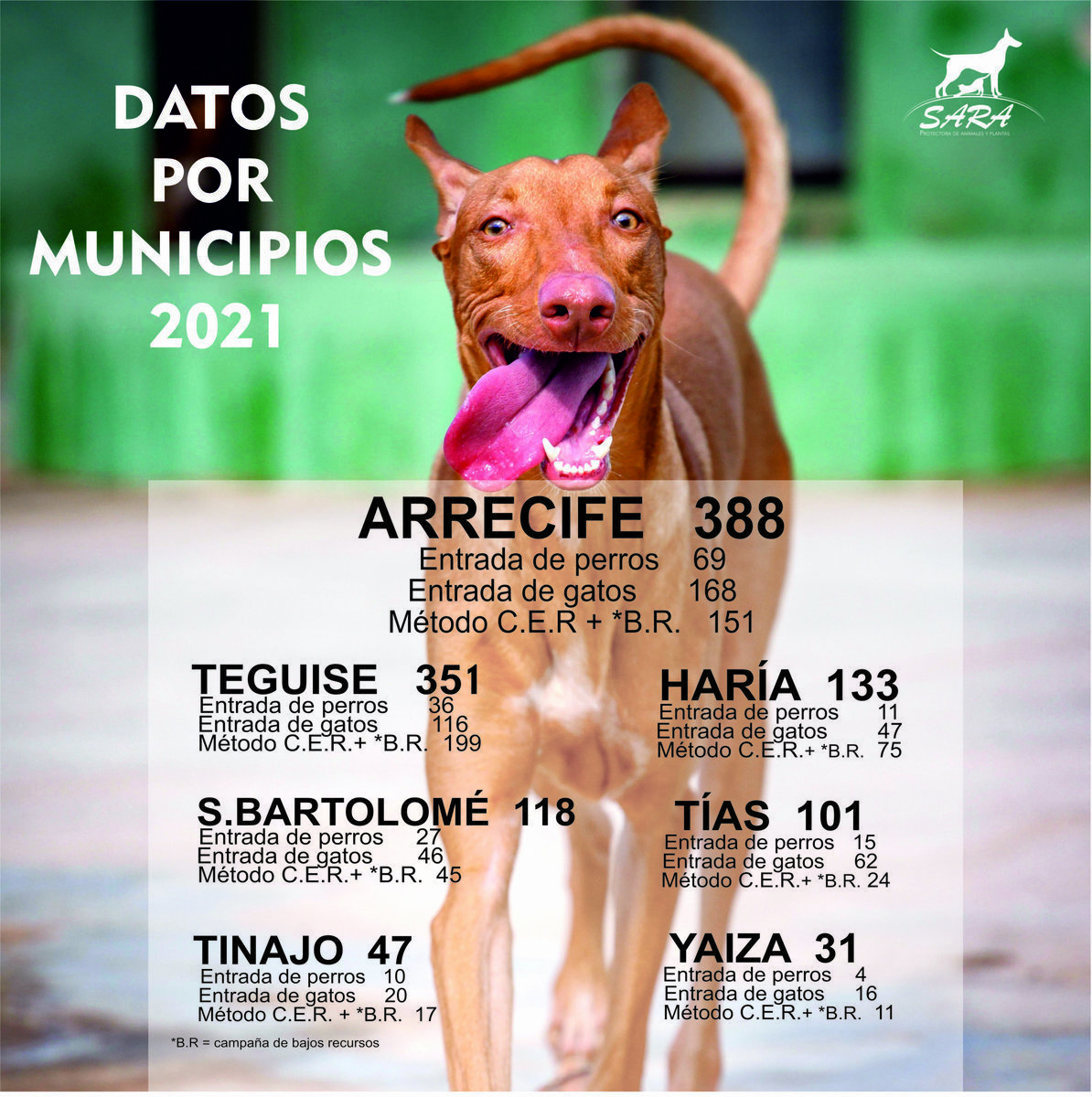 datos ALBERGUE MUNICIPIOS 2021