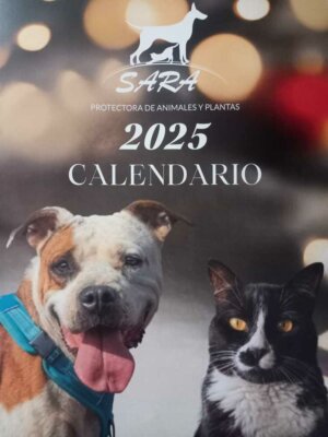 Calendario 2025