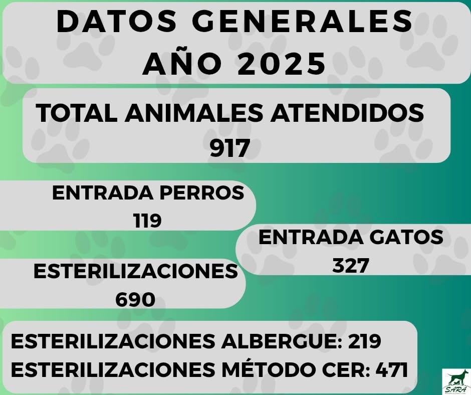 Numeros 25