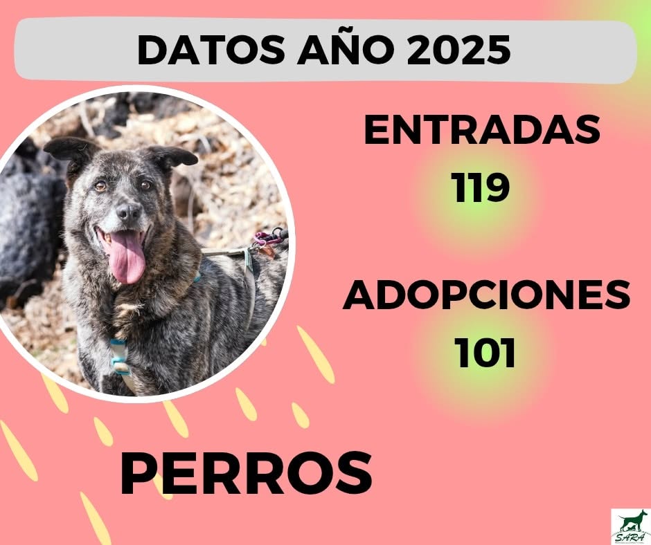 perros 25